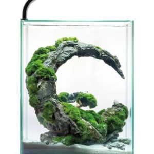 Acuario Shrimp Set 30 Day&Night LED – Kit completo  para gambas, peces y plantas