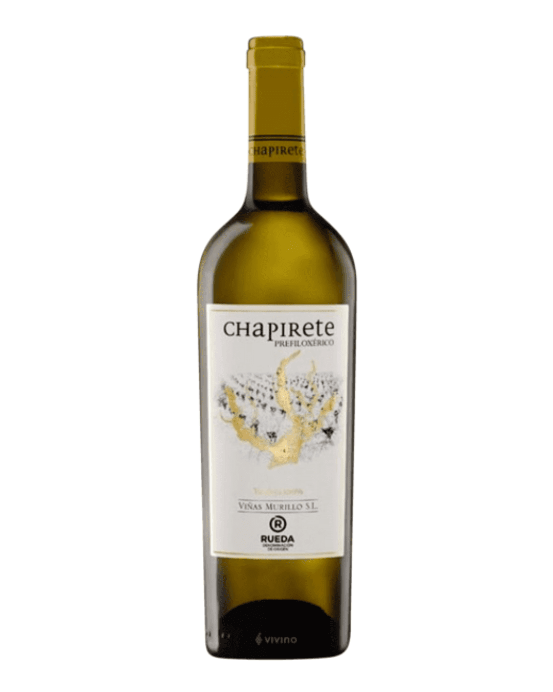 Chapirete Prefiloxérico 2024 - Imagen 2